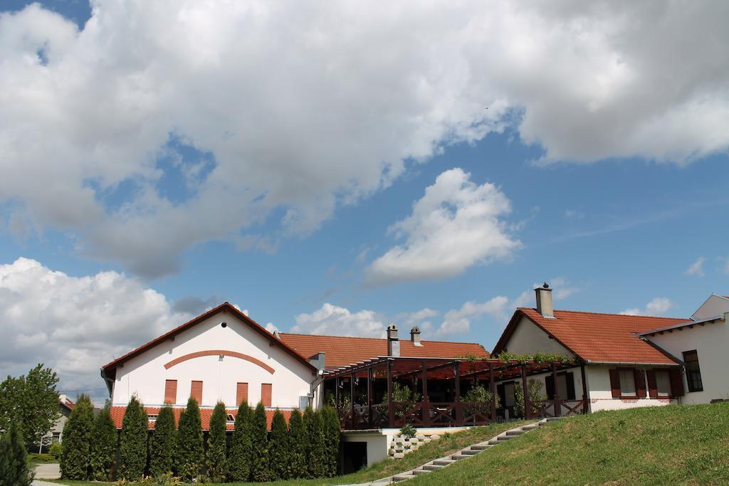 Hotel Tiffán's Pincészet és Panzió Villány Exterior foto