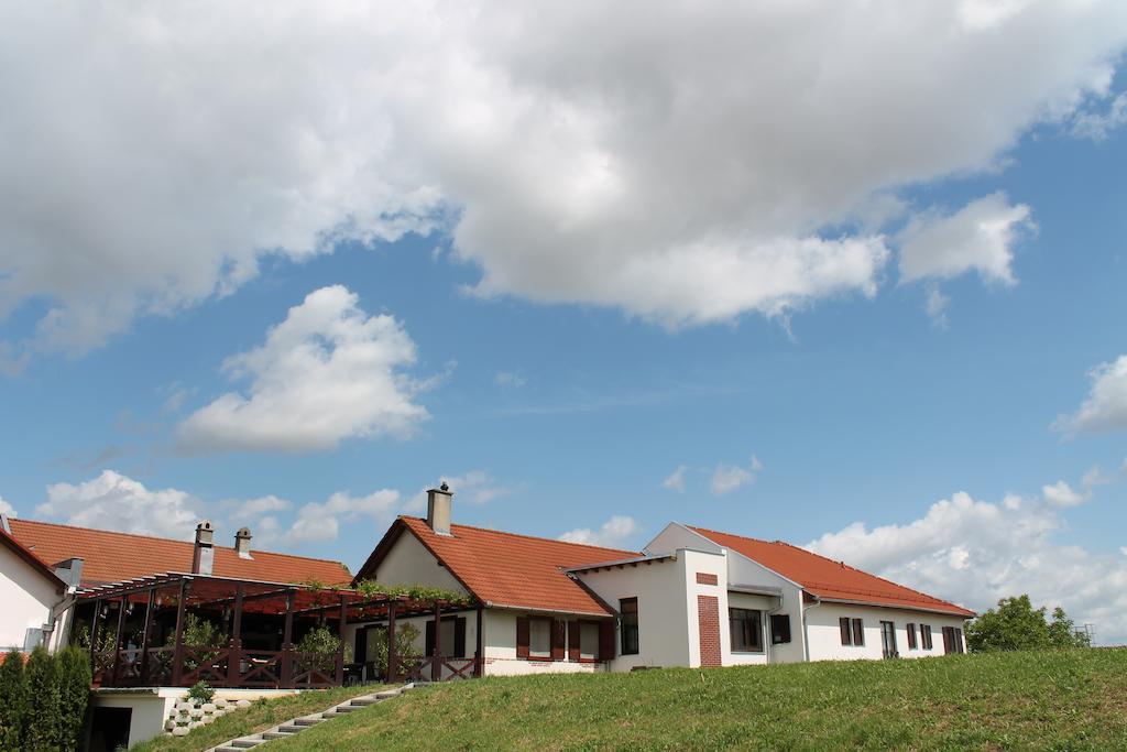 Hotel Tiffán's Pincészet és Panzió Villány Exterior foto